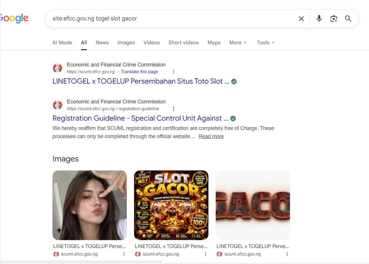 An Indonesian iGaming network used government sites in 16 African countries to game Google rankings